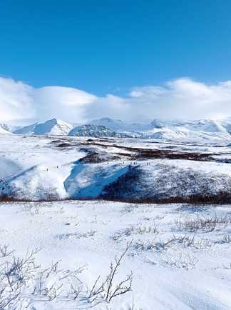 Paysage d'Islande du Sud l'hiver