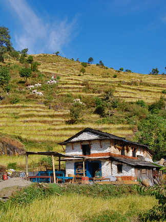Paysages des Annapurnas