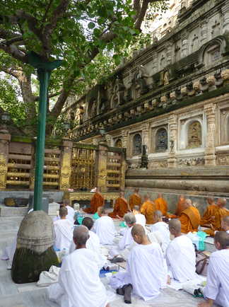 Pèlerins bouddhistes au pied de l'arbre de bouddha à Bodhgaya