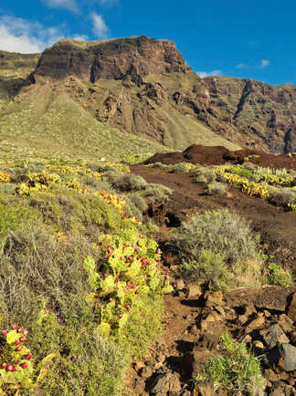 photo du parc naturel du Teno à Tenerife