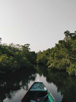 Pirogue sur le delta de Sine Saloum au Sénégal