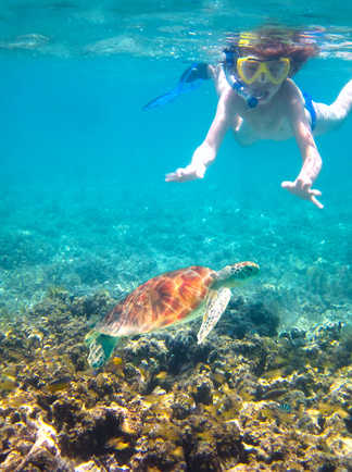 Plongeurs  croisant une tortue en Indonésie