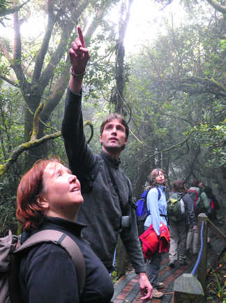 rando en foret tropicale
