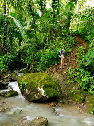 Randonnée dans la jungle du Darien au Panama