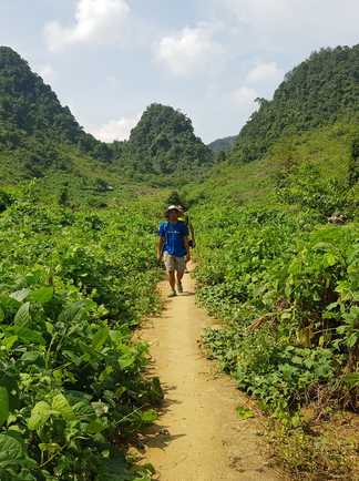 Randonnée dans la région de Thong Nong au Vietnam