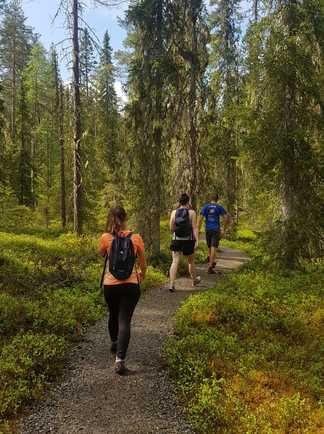Randonnée dans le Parc National de Hossa en Finlande