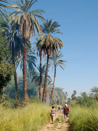 Randonnée dans les champs bordant le Nil en Egypte