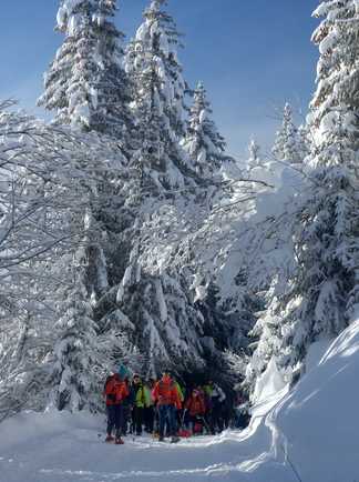 randonnée raquettes dans les sapins