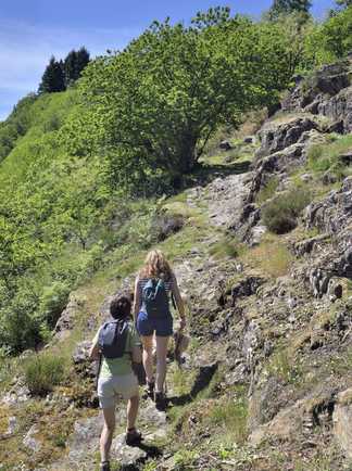 Randonnées dans la région de Conques, sur le chemin de Compostelle