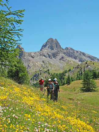 randonneurs aux Queyras dans les Alpes en France