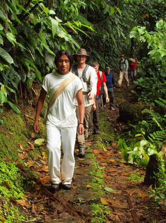 Randonneurs dans la forêt endémique colombienne