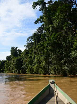 Rivière à Ulumudah en Malaisie