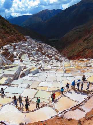 salines maras au Pérou