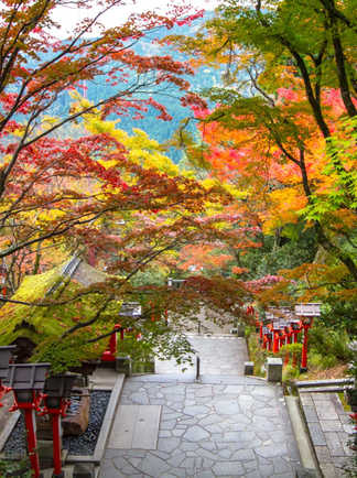 Sanctuaire de Kurama, Kyoto en automne