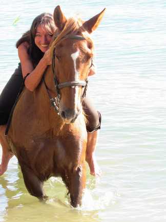 Séjour à cheval en Catalogne - Baignade avec les chevaux