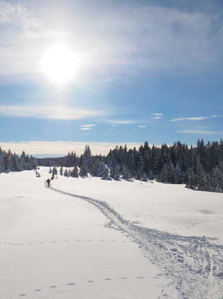 Ski Pulka Vercors