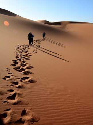 Traces de pas dans les dunes du Drâa, Maroc