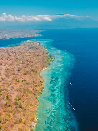 Vue aérienne de l'île de Menjangan avec la barrière de corail et la mer bleue