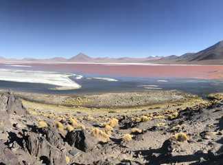 Laguna colorada en Bolivie