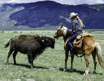 Cavalière et bison, Colorado - © Cavalière et bison, Zapata Ranch, Colorado