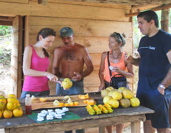 rencontre paysan fruits tropicaux Cuba