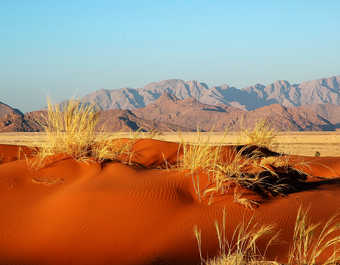Dune rouge dans le désert du Namib - © Dune rouge dans le désert du Namib