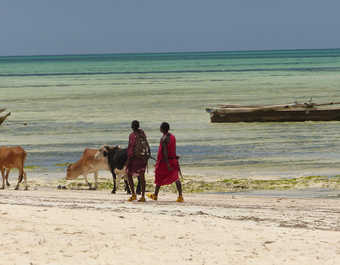 Éleveurs masai sur la plage de Zanzibar