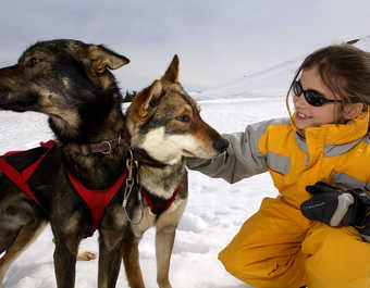 Enfant caressant un Husky dans la neige - © Enfant caressant un Husky dans la neige