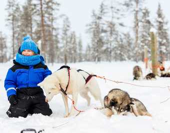 Enfant dans la neige avec un Husky