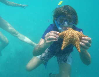 Enfant en apnée et tenant une étoile de mer © Enfant en apnée et tenant une étoile de mer