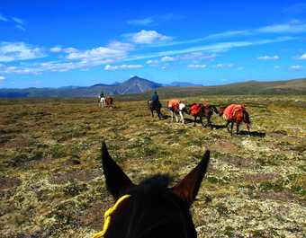 expédition avec cheval de bat dans le Yukon - © expédition avec cheval de bat dans le Yukon