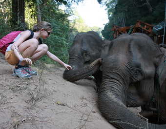 Femme caressant la trompe d'un éléphant