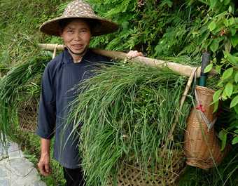 Habitant de Zhaoxing, dans le Guizhou - © Habitant Dong du village de Zhaoxing, dans la province de Guizhou