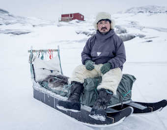Inuit sur son traîneau à chiens au Groenland