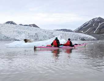 Kayak et phoque en Arctique