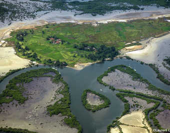 Les méandres du fleuve Saloum dans le parc du Sine Saloum au Sénégal