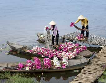 Marchand de fleurs sur un bateau