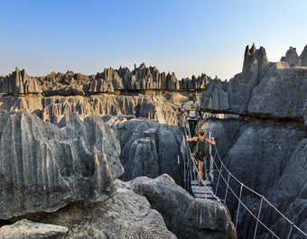 Marche sur le pont suspendu dans le parc des Tsingys à Madagascar