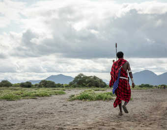 Masai marchant dans la savane au Kenya