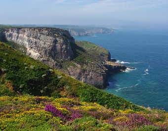 Paysage du Cap d'Erquy sur la côte d'Emeraude en Bretagne - © Paysage du Cap d'Erquy sur la côte d'Emeraude en Bretagne
