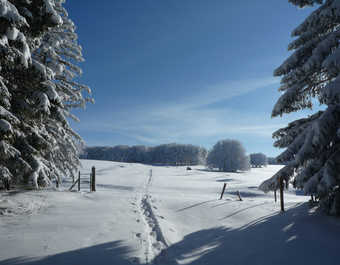 Paysage enneigé de l'Aubrac - © Paysage enneigé de l'Aubrac