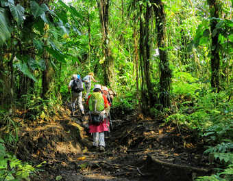 Petit groupe de randonneurs dans la forêt au Costa Rica