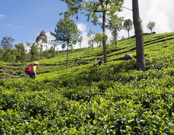 trek Sri Lanka, voyage aventure Sri Lanka, randonnées Sri Lanka