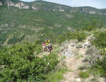 Randonnée vers les Gorges de la Dourbie dans le Larzac - © France, larzac, Gorges de la Dourbie