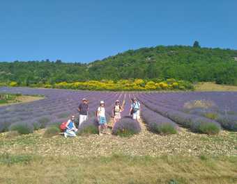 Randonneurs sur le chemin des lavandes en Provence - © Randonneurs sur le chemin des lavandes en Provence