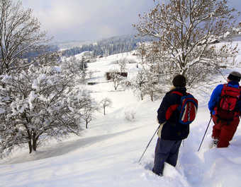 Randonneurs sur les crêtes du col de Berkout, Carpates ukrainiennes © Randonneurs sur les crêtes du col de Berkout, Carpates ukrainiennes