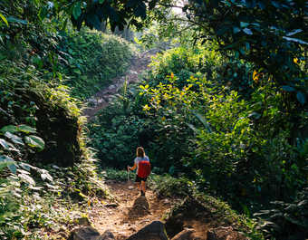 Randonneuse dans la jungle de Sierra Nevada