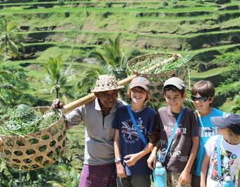 Indonésie, Munduk, paysan dans les rizières