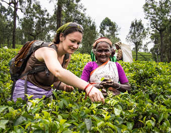 Rencontre dans les plantations de thé au Sri Lanka - © Rencontre dans les plantations de thé au Sri Lanka