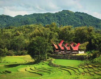 Villages traditionnels à Toraja, Sulawesi en Indonésie